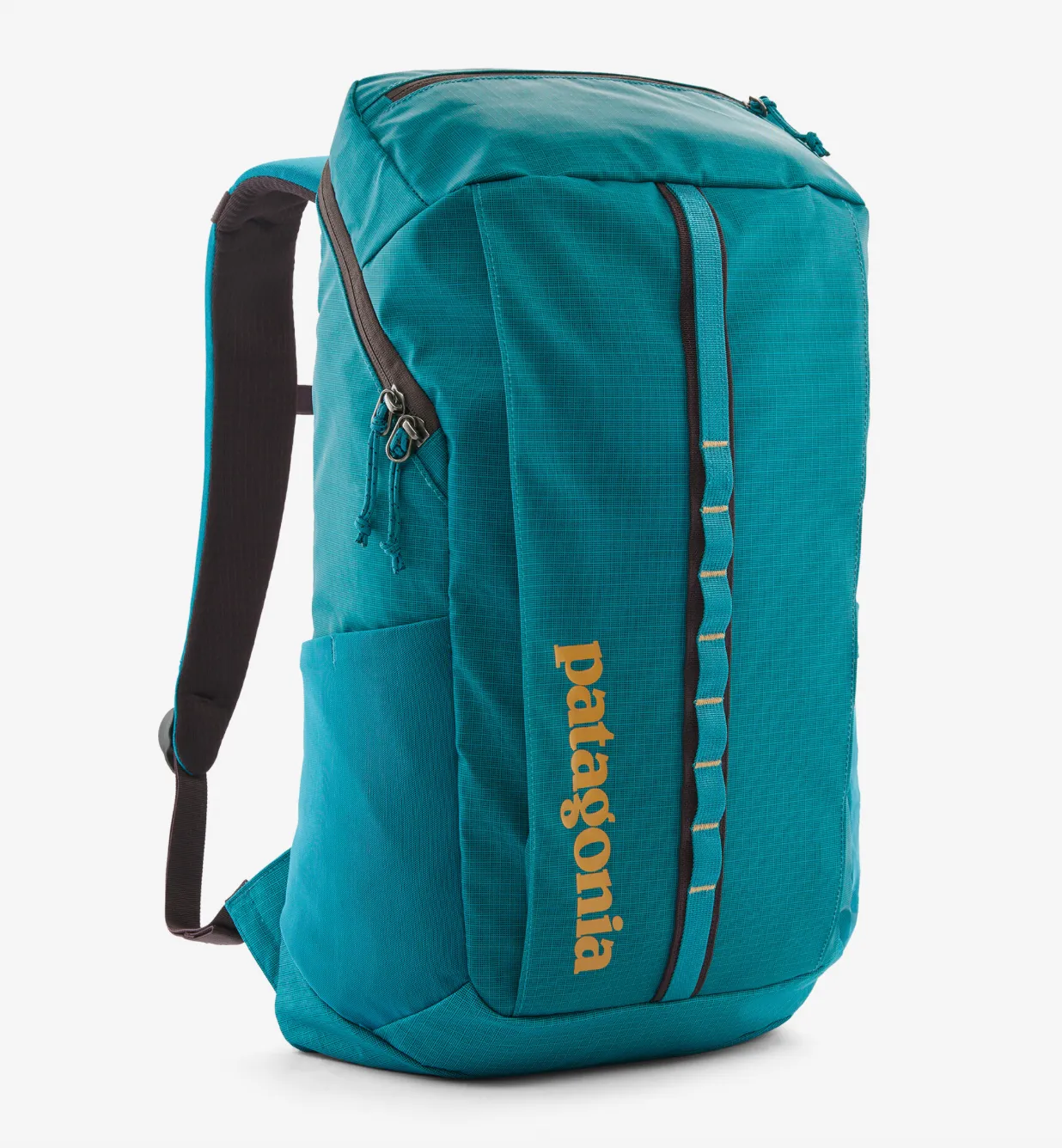 PATAGONIA BLACK HOLE PACK 25L