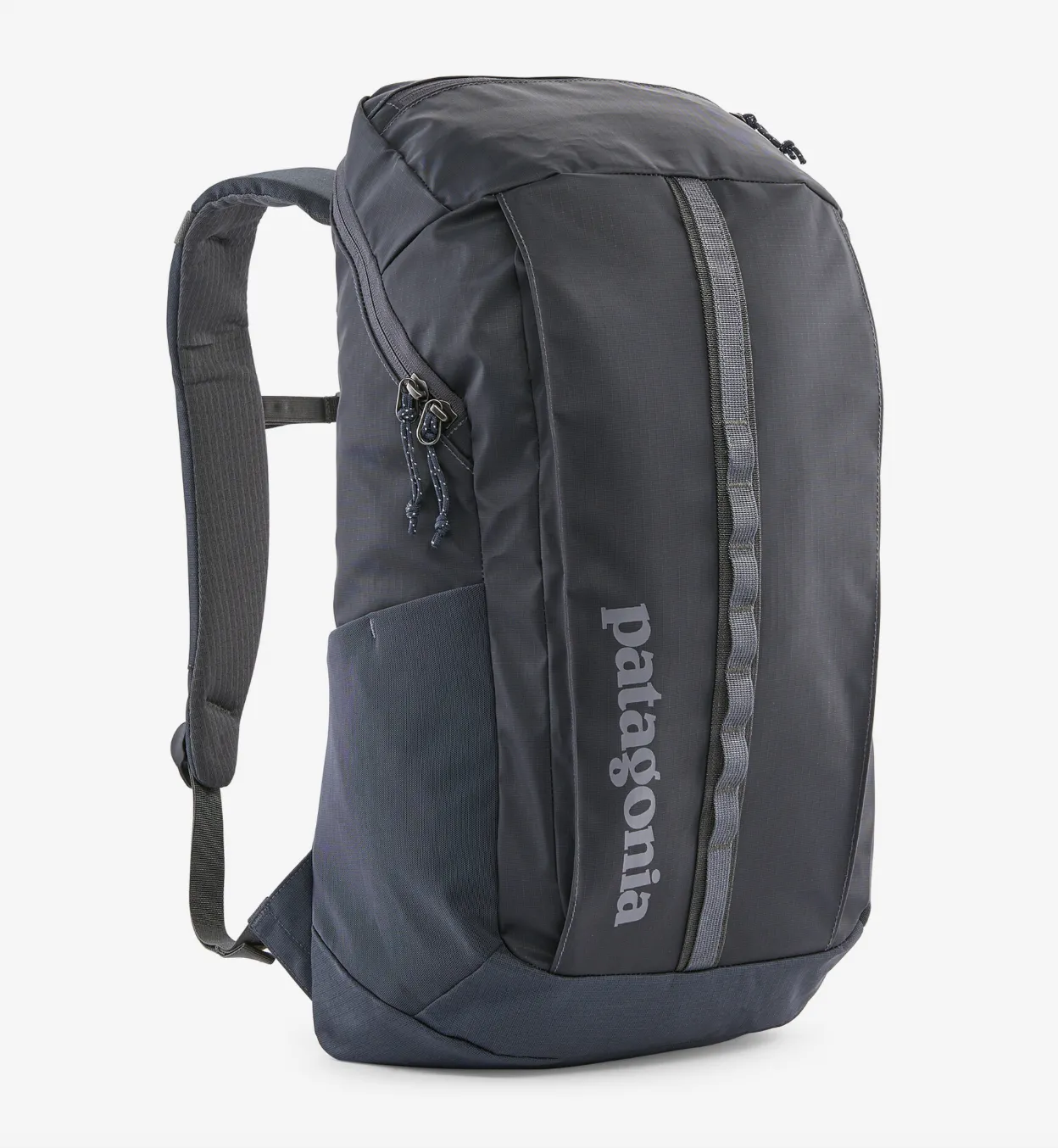 PATAGONIA BLACK HOLE PACK 25L